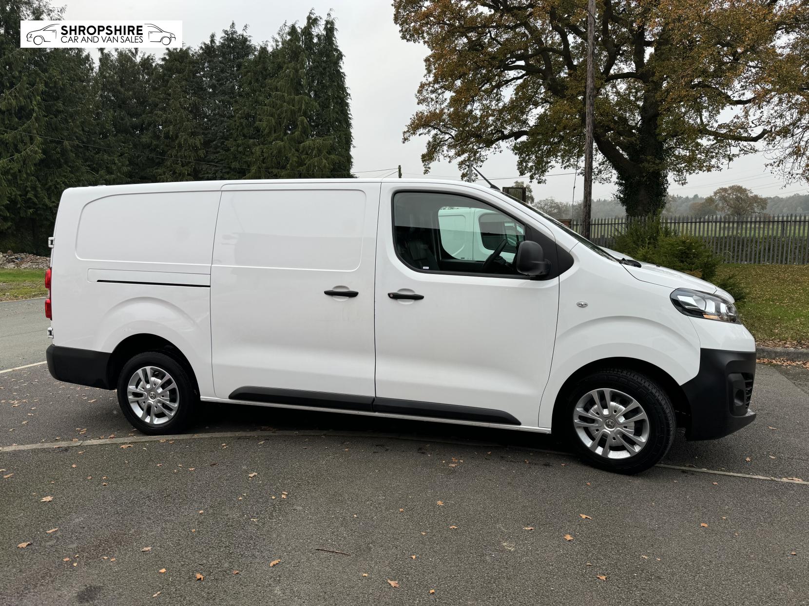 Vauxhall Vivaro 1.5 Turbo D 2900 Dynamic Panel Van 6dr Diesel Manual L2 H1 Euro 6 (s/s) (100 ps)